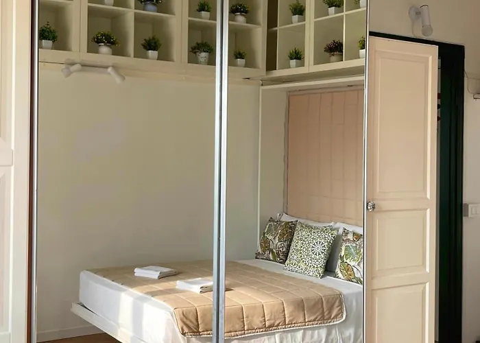 Cozy Green Studio